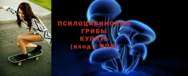 СК Козельск