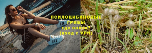 СК Козельск