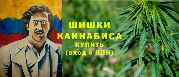 СК Козельск