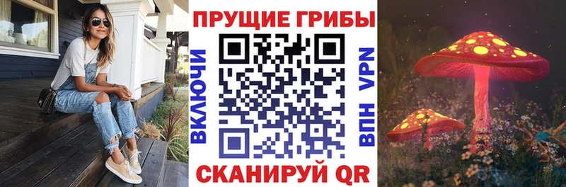 Купить  Вельск  Псилоцибиновые грибы прущие грибы 